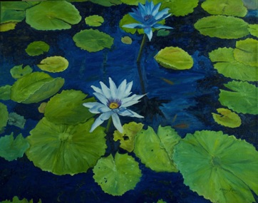 Water Lilies & Goldfish
oil on canvas
24” x 30”